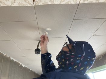 【間仕切り壁の解体部を塗装】