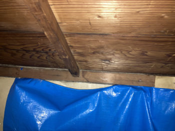 【瓦がずれて雨漏り発生】