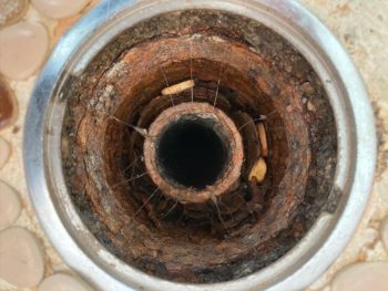 【カラス対策ネットに重り】