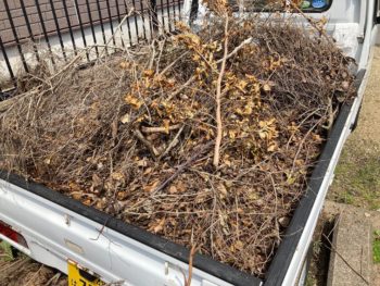 【空き家の落ち葉や枝葉を回収し畑へ】