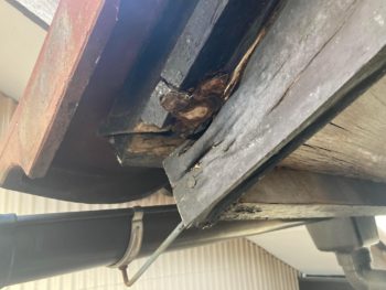 【屋根まわりの腐食を確認】