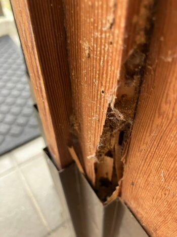 【ホームインスペクションを実施】