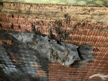 【古い空き家をご案内】